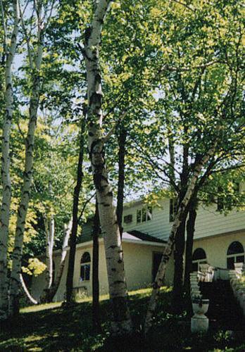 White Birch Inn ستورغون باي المظهر الخارجي الصورة